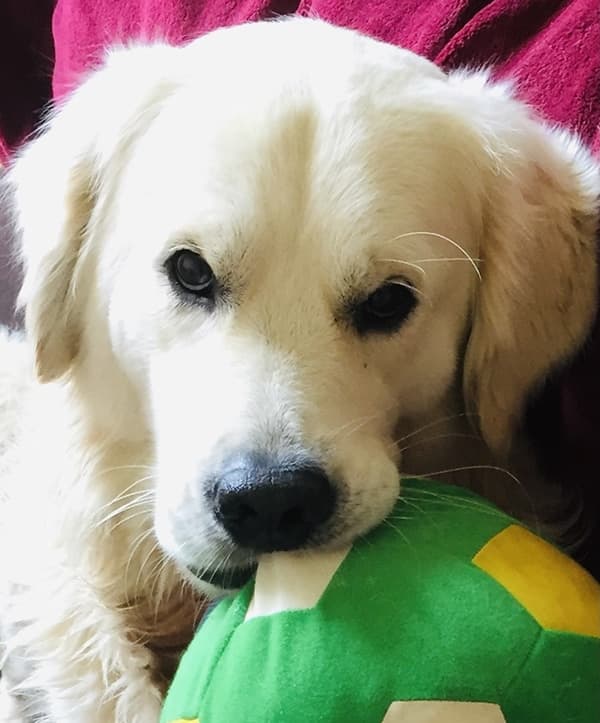 Marlowe, la mort et moi… et les vers de Brautigan